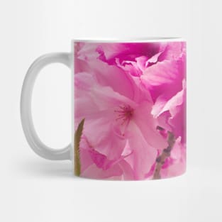 Photography - plum blossom Mug